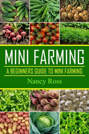 bigCover of the book Mini Farming by 