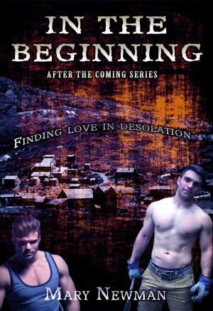 Cover of the book In the Beginning by J.A. Alexsoo