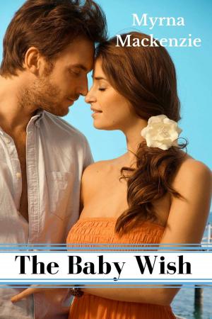 Cover of the book The Baby Wish by Karen Wojcik Berner