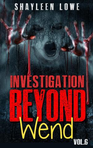 Book cover of Investigation Beyond : WEND