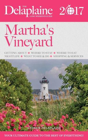 Book cover of Martha's Vineyard - The Delaplaine 2017 Long Weekend Guide