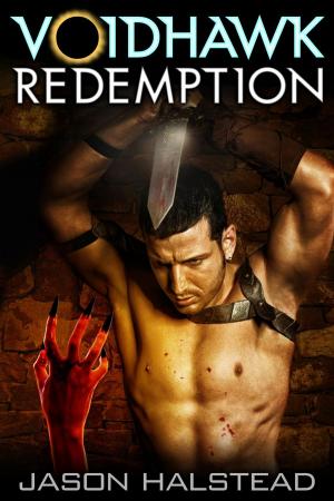 Cover of the book Voidhawk - Redemption by Katherine Duhon