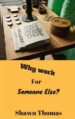Cover of the book Why Work for Someone Else by 蘇朝暉