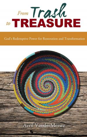 Cover of the book From Trash to Treasure by Jonathan Karastury