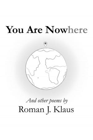 Cover of the book You Are Nowhere by RG Gregory