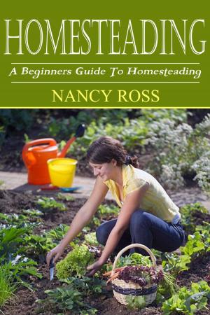 Book cover of Homesteading