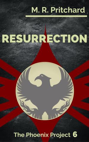 Cover of the book Resurrection by FARY SJ OROH