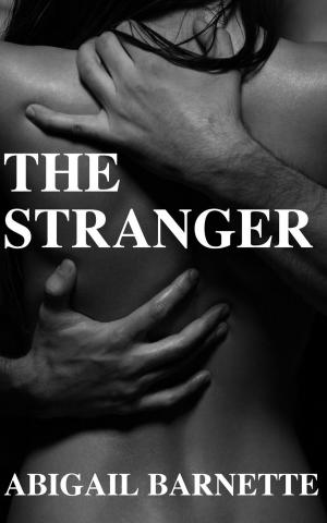 Cover of the book The Stranger by Abigail Barnette