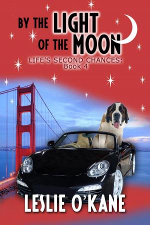 Cover of the book By the Light of the Moon by Nene Davies
