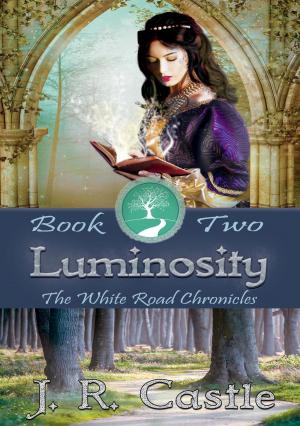 Cover of the book Luminosity by R.J.S. Orme