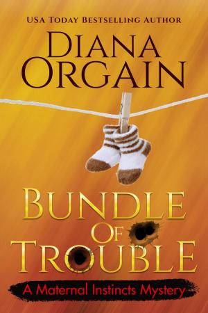 Cover of the book Bundle of Trouble by Robin Merrill