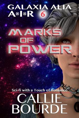 Cover of the book Marks of Power by Jens Fitscher