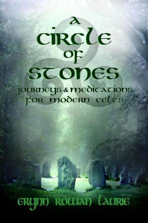 Cover of the book A Circle of Stones: Journeys and Meditations for Modern Celts by Storm Constantine