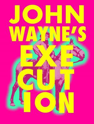Cover of the book John Wayne's Execution by Richard James Bentley