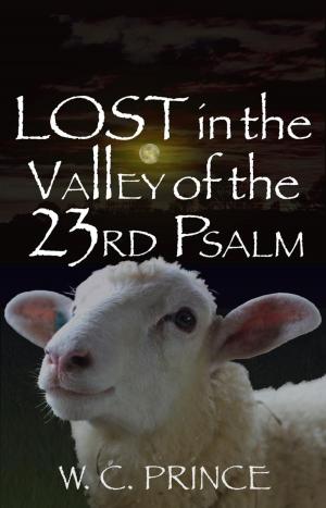 Cover of the book LOST in the Valley of the 23rd Psalm by Richard James