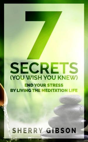 Cover of the book End Your Stress By Living The Meditation Life: 7 Secrets (You Wish You Knew) by Master YongHua, Bodhi Light International, Inc.