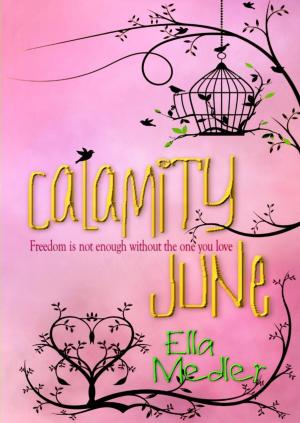 Cover of the book Calamity June by Ray Sostre