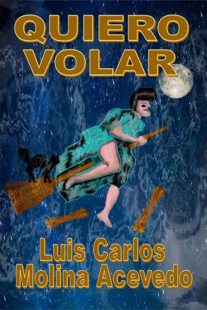 Book cover of Quiero Volar