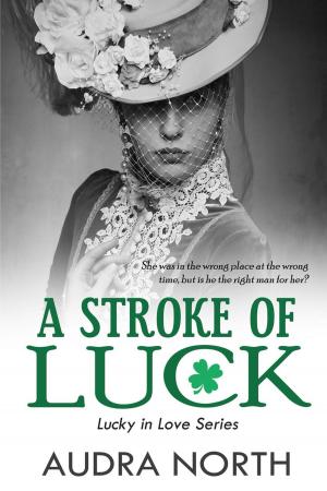 Book cover of A Stroke of Luck