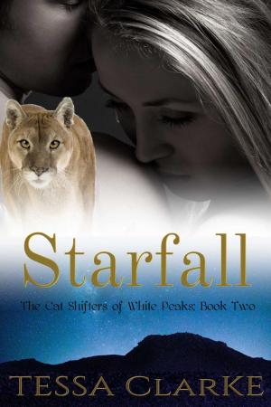 Cover of the book Starfall by L.E. Wilson