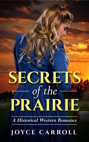 Cover of the book Secrets of the Prairie by José  Hernández