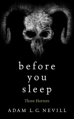 Book cover of Before You Sleep: Three Horrors
