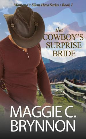 Cover of the book The Cowboy's Surprise Bride by Pete Hackett, W. W. Shols, Hendrik M. Bekker