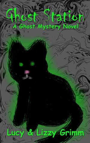 Cover of Ghost Station: A Ghost Mystery
