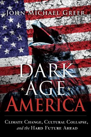 Cover of the book Dark Age America by Richard Douthwaite and Gillian Fallon. Editors
