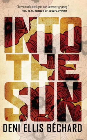 Cover of the book Into the Sun by David Rhodes