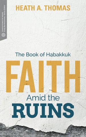 Book cover of Faith Amid the Ruins