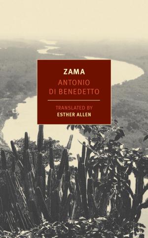 Cover of the book Zama by Teffi