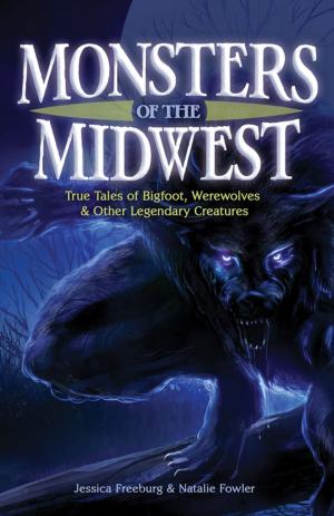 Cover of the book Monsters of the Midwest by Deb Mercier