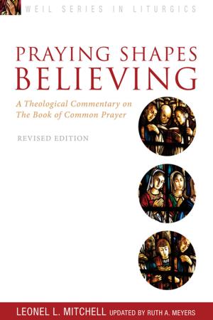 bigCover of the book Praying Shapes Believing by 