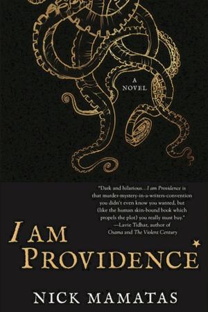 Cover of the book I am Providence by Marty Halpern