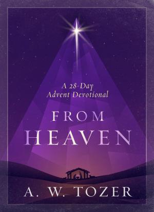 Cover of the book From Heaven by James MacDonald