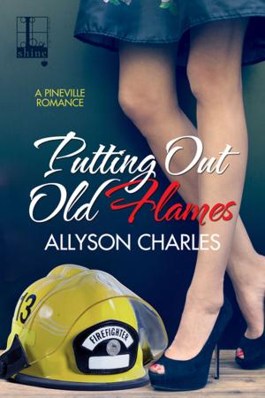 Cover of the book Putting Out Old Flames by Maggie Wells