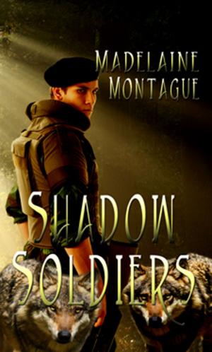 Cover of the book Shadow Soldiers by Michael Kilian