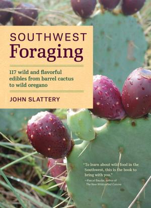 Cover of the book Southwest Foraging by 马金勇