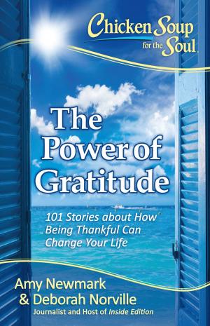 Cover of the book Chicken Soup for the Soul: The Power of Gratitude by Jack Canfield, Mark Victor Hansen, Amy Newmark