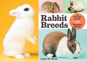 Cover of the book Rabbit Breeds by Kathy Harrison