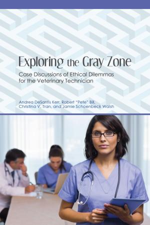 Cover of the book Exploring the Gray Zone by Lorna Fitzsimmons