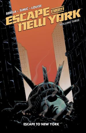 Book cover of Escape from New York Vol. 3