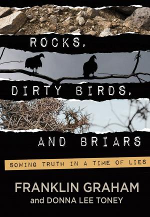 Cover of the book Rocks, Dirty Birds, and Briars by Stephen Arterburn