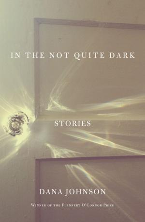 Cover of the book In the Not Quite Dark by Chris Turney