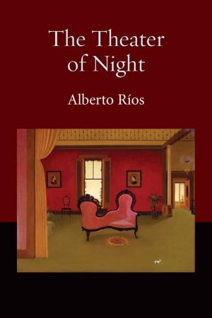Cover of the book The Theater of Night by Robert Hedin