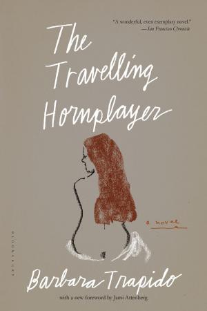 Book cover of The Travelling Hornplayer