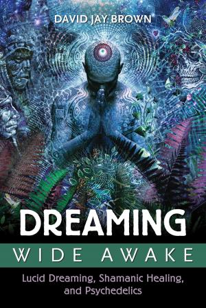 Cover of the book Dreaming Wide Awake by M.E Dahkid
