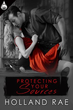 Cover of the book Protecting Your Sources by Cameron Dane