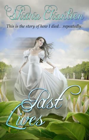 Cover of the book Past Lives by C.E. Wanders